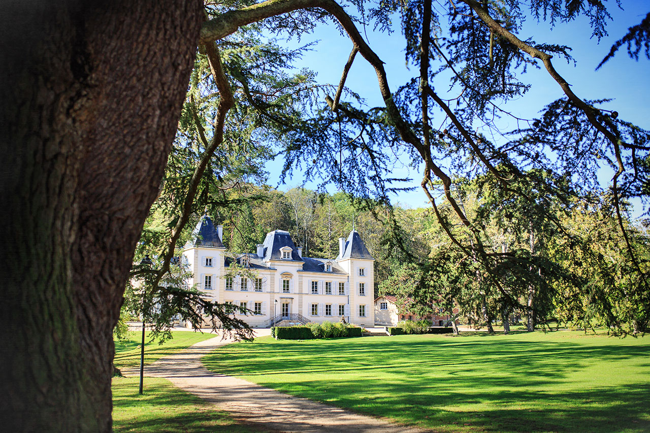 L'arboretum du château d'Ainé, en Saône-et-Loire