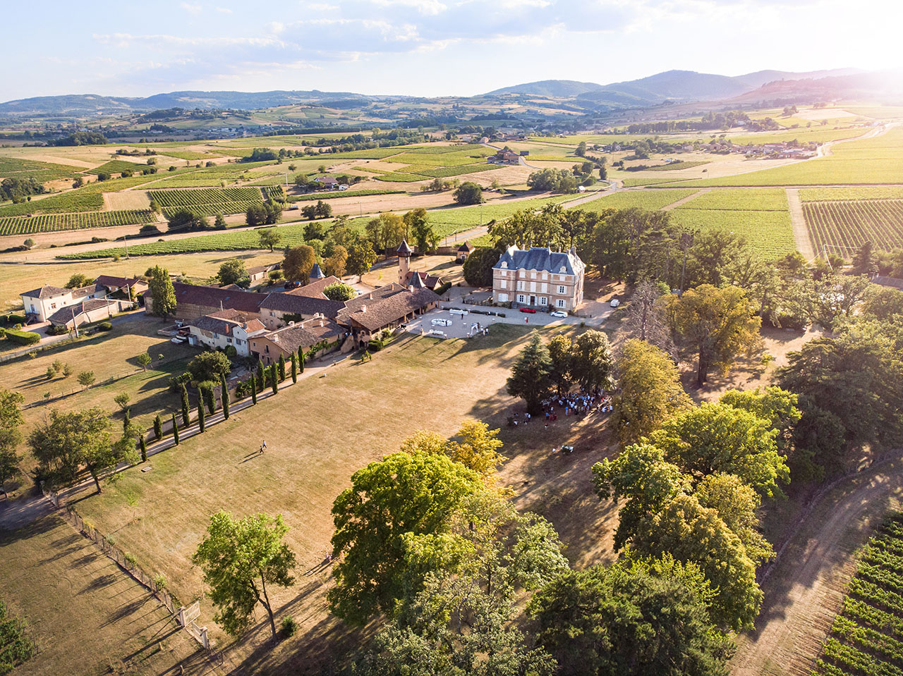 Chateau de Talancé - Denice - mariage