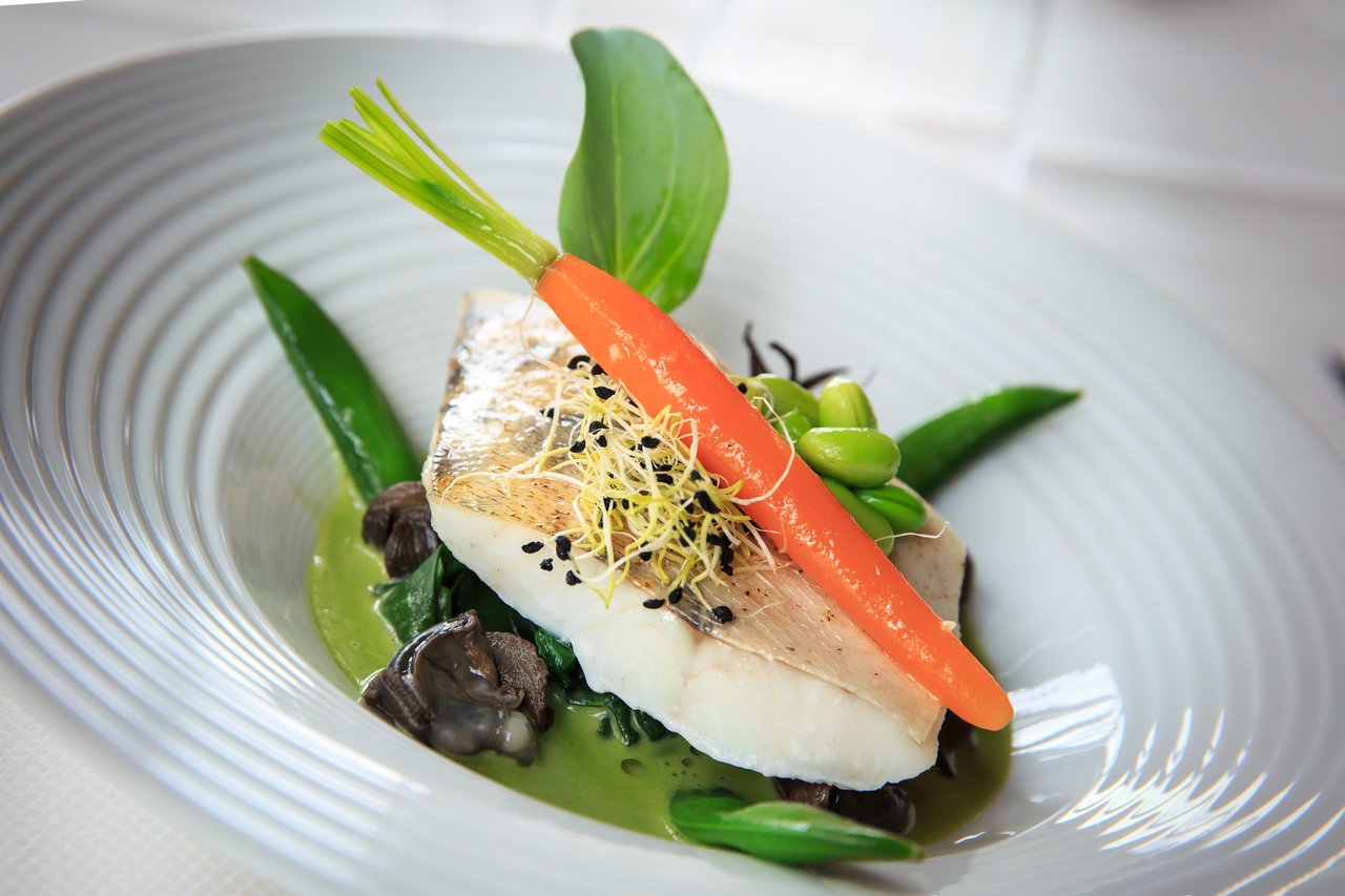 Filet de poisson avec carotte et germes sur assiette blanche — photo culinaire à Mâcon